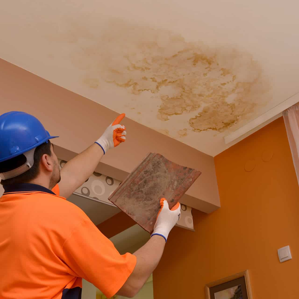 Plumbing Inspector Diagnosing Ceiling Water Stain and Overhead Hidden Pipe Leak